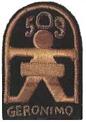 509th Parachute Infantry Battalion Shoulder Patch