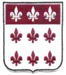 The 307th Airborne Medical Company - Pocket Patch